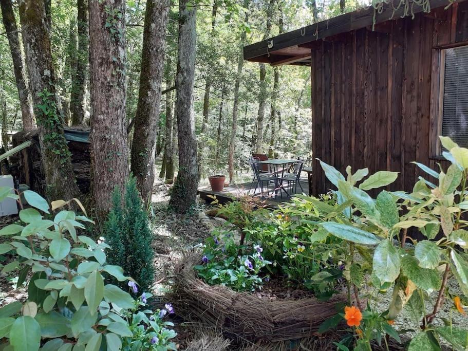 Le Gite De La Cabane De L'Oiseau Couze-et-Saint-Front 外观 照片