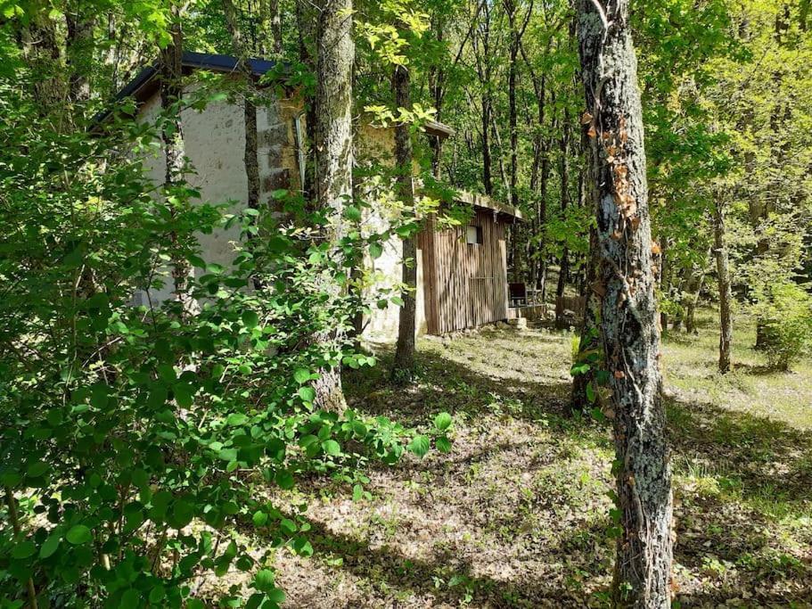 Le Gite De La Cabane De L'Oiseau Couze-et-Saint-Front 外观 照片